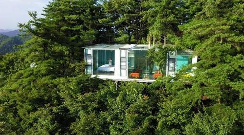 清凉广元等您来藏在曾家山的9家民宿太适合避暑了