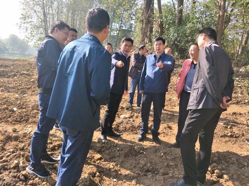 副市长吴刚专项督查咸安区入河排污口整改工作 - 咸宁