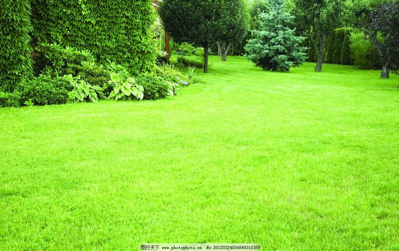 绿色草地壁纸-草地绿色屏保图片大全_绿色草地高清壁纸_绿色草地竖屏