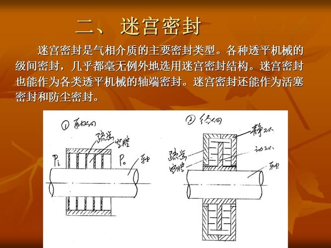 第九章__迷宫密封.ppt