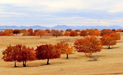 兴安盟科右中旗美丽与发展双赢