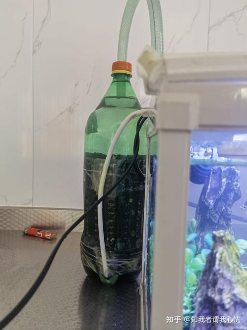 自制一个外置过滤细菌屋