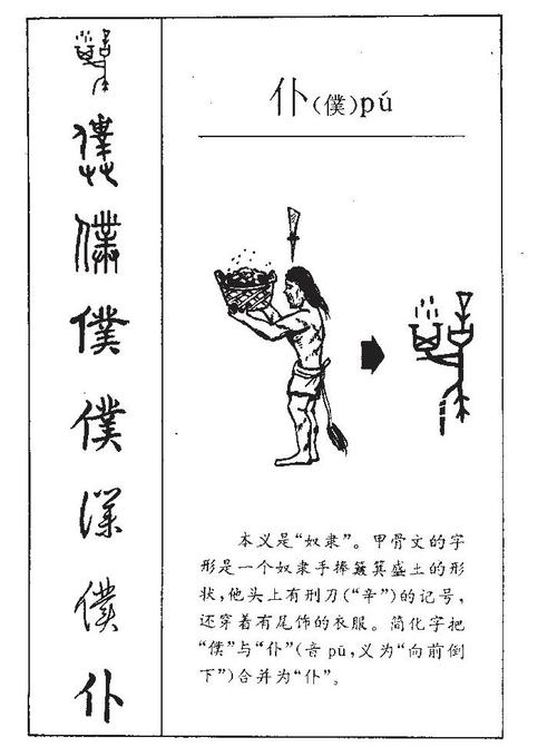 简体"仆"始见于战国简牍文字.形声字,从人,卜声.