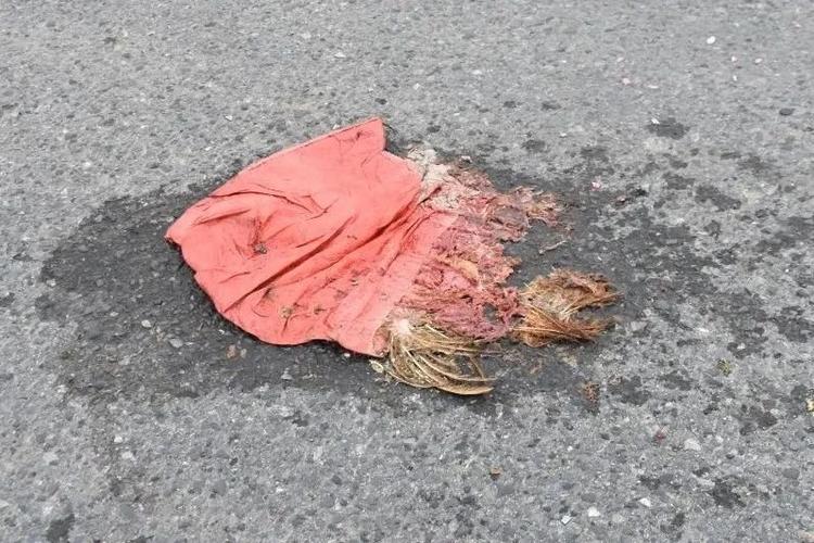 浙江海宁某路口驾驶人被卷到了货车底买的鸡被碾压成肉饼