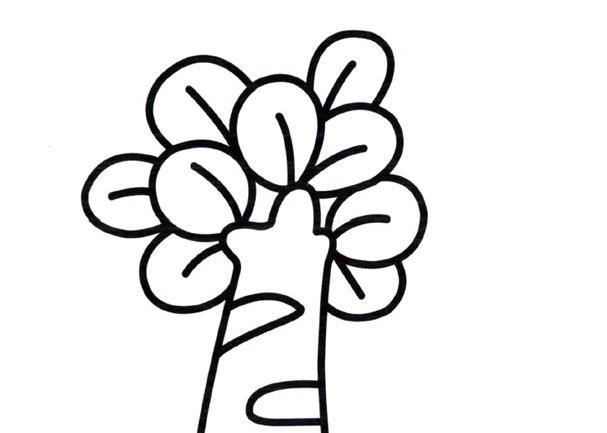 在森林里我们可以见到各种各样的树,比如说杉树,槐树