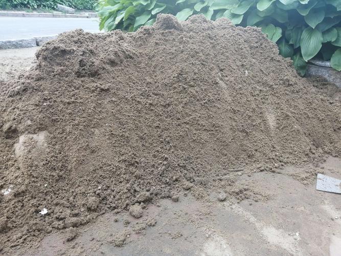 做一个组合的有想法的沙雕!找到适合的沙堆