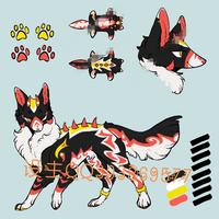 你们的兽设都有什么特点