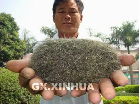 我手上有个猪宝不知道怎么出手