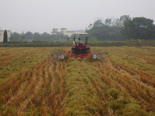 芜湖县举办2015年水稻秸秆还离田暨油菜种植机械化现场观摩会