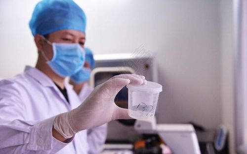 精子库买精子申请流程详解,过来人告诉你要花多少钱