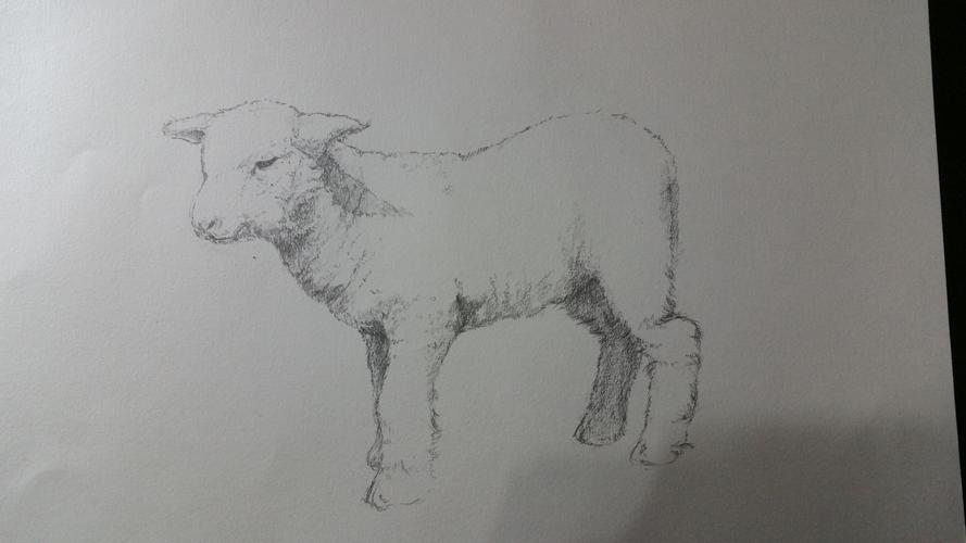 素描/照片画         