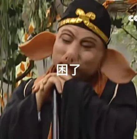 猪八戒表情包