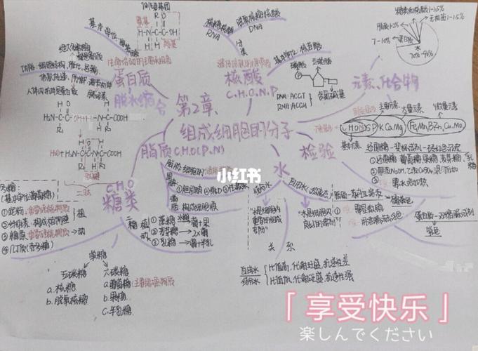 必修一思维导图第2章组成细胞的分子