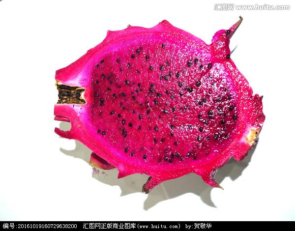 [正版商业] 火龙果