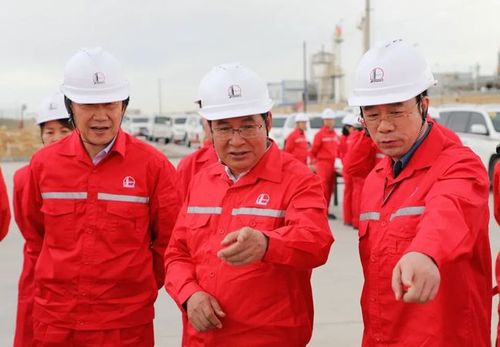 中国石化董事长张玉卓到西北油田调研|中石化|石油
