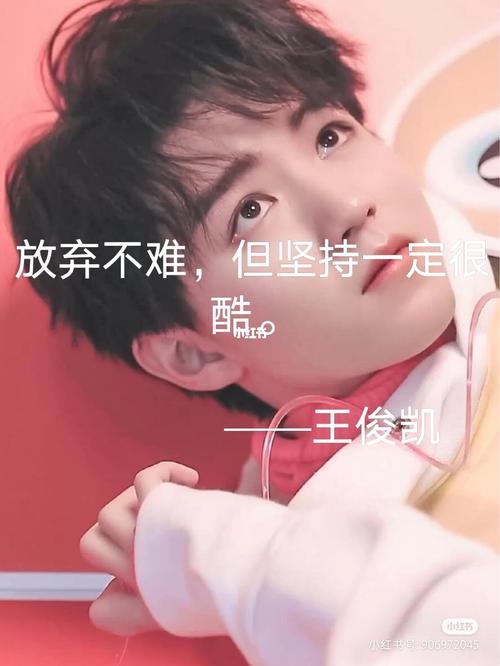 王俊凯文案_王俊凯_文案_农夫山泉怎么样_螃蟹_素材_文字素材