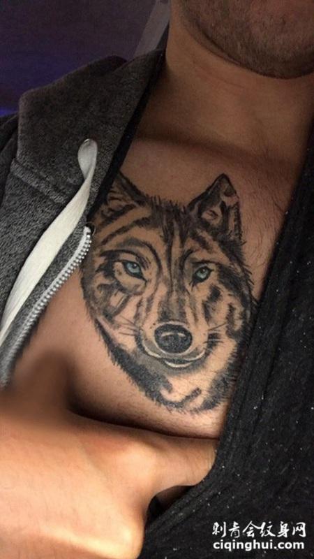 纹身胸部男男生胸部黑色的狼头纹身图片
