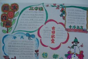 关于蘑菇和太阳花的主题手抄报 安全主题手抄报