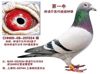 (7月5日结拍)获得林波尔公牛最好的机会!