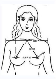 谭新东:测验您的乳房是否理想?
