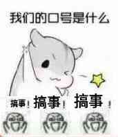 我们的口号是什么?搞事!搞事!搞事!
