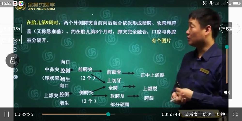 突----胚胎3周 2,侧鼻突,中鼻突,上颌突----4周 3,原始口腔,侧舌隆突