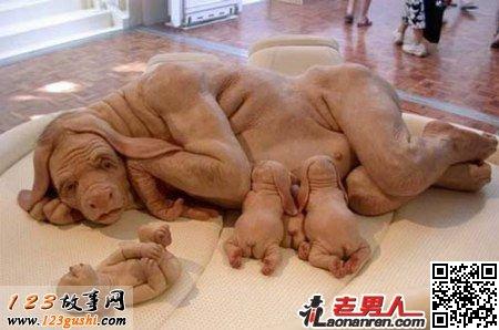 人兽杂交真实事件:八种奇异杂交动物【组图】