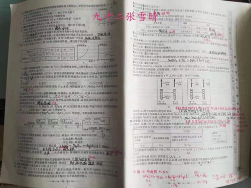 秀寒假生活,展学霸风采～～～～泰安高新区一中初四年级寒假作业创意