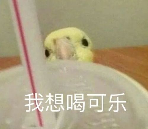 表情包:你又不是不知道,我吵不过你