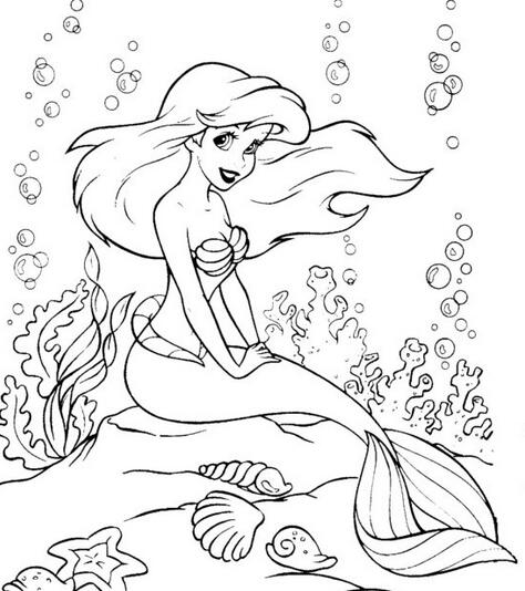 画小美人鱼的手抄报 手抄报版面设计图