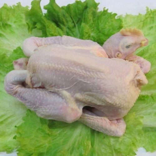 厂家供应优质白条鸡批发 价格便宜