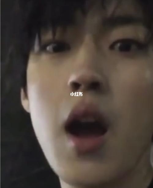 白成哲_娱乐_明星娱乐资讯