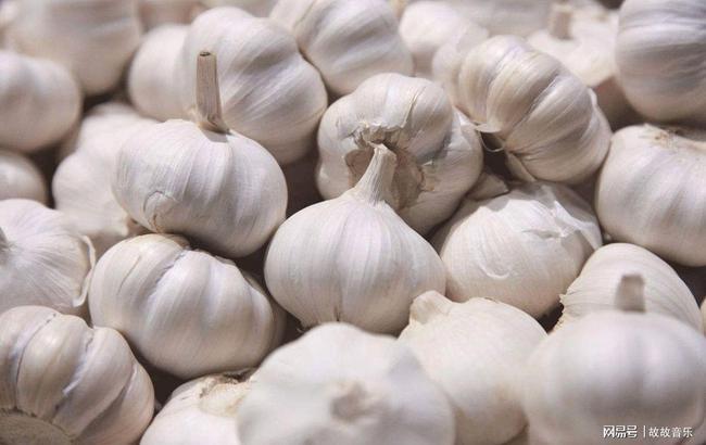 大蒜有保健作用真的有那么神奇吗宫延楼告诉你
