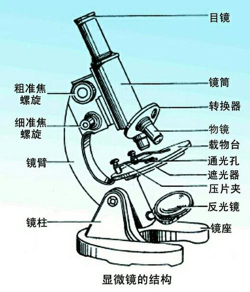 首先了解掌握显微镜结构及名称
