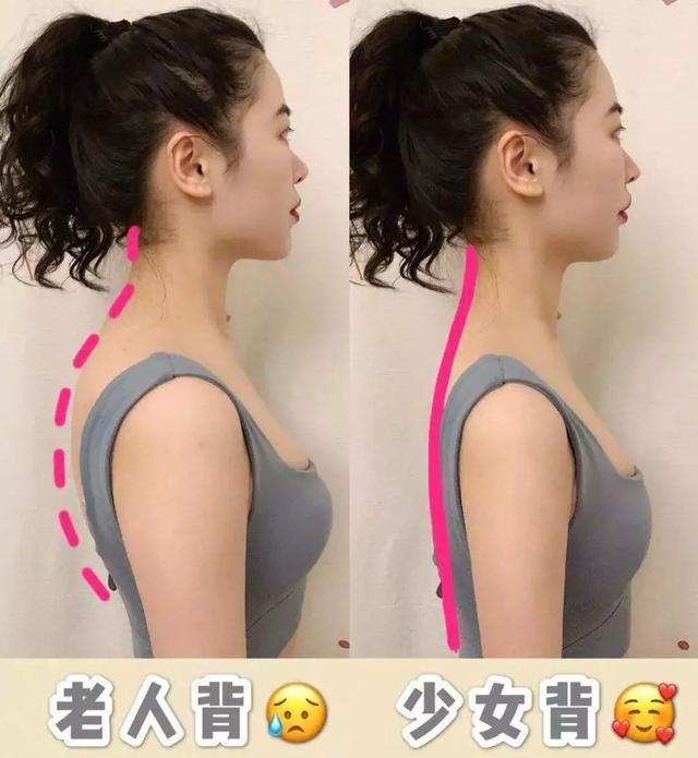 那就不得不说一下背部曲线,年纪越大的人就越喜欢驼背.