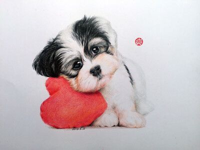 彩铅 彩铅画 彩铅狗狗 彩铅动物 绘画 原创 手绘 插画 插画师 作品