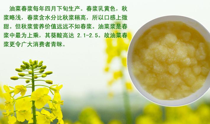 2015新鲜纯天然蜂王浆500g油菜蜂皇浆/春浆正品送蜂蜜