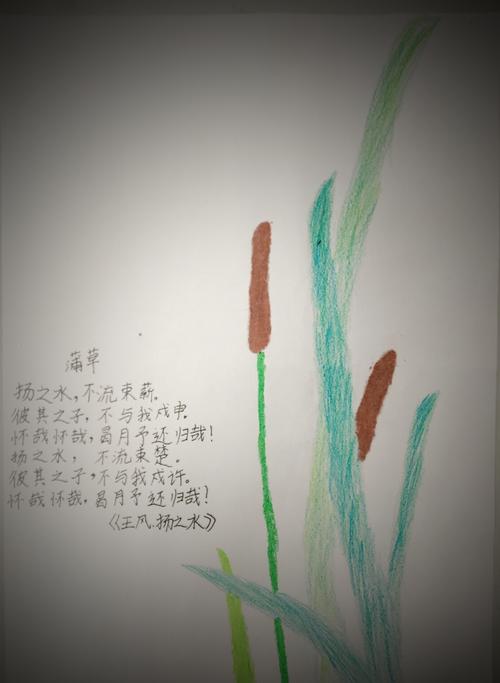 诗经~~诗配画作品