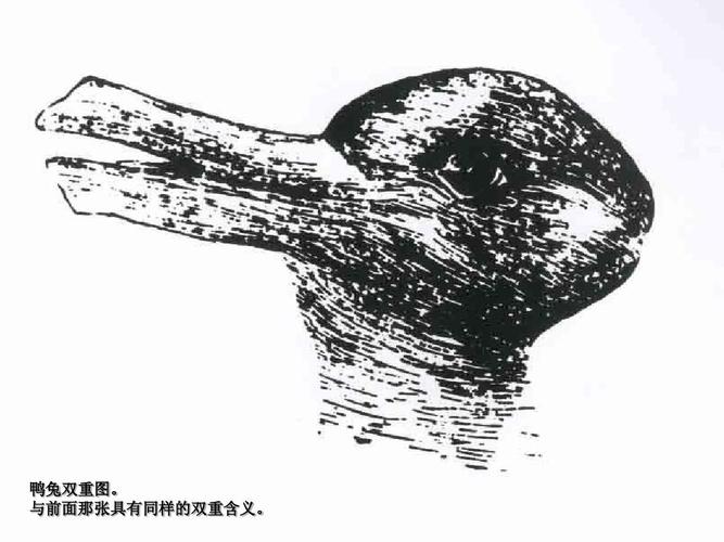 鸭兔双重图. 与前面那张具有同样的双重含义.