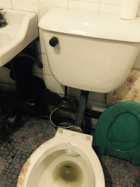 老式卫生间水箱换什么样的坐便器好,价格多少钱?