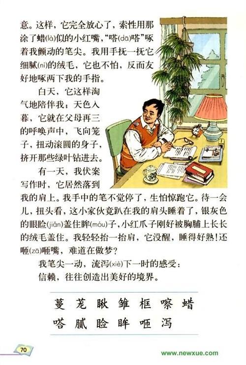 三年级画珍珠鸟手抄报 三年级手抄报