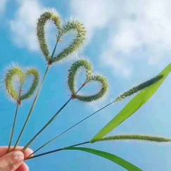 中年女性照片头像图片