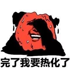 搞笑出去溜达一圈简直是热化了表情包,室内温度40度