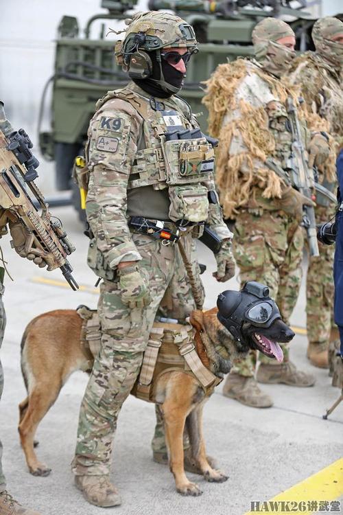 西班牙特种部队的军犬全副武装,头盔上不仅有护目镜,在顶部还安装了