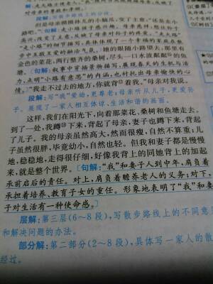 莫怀戚的散步里的