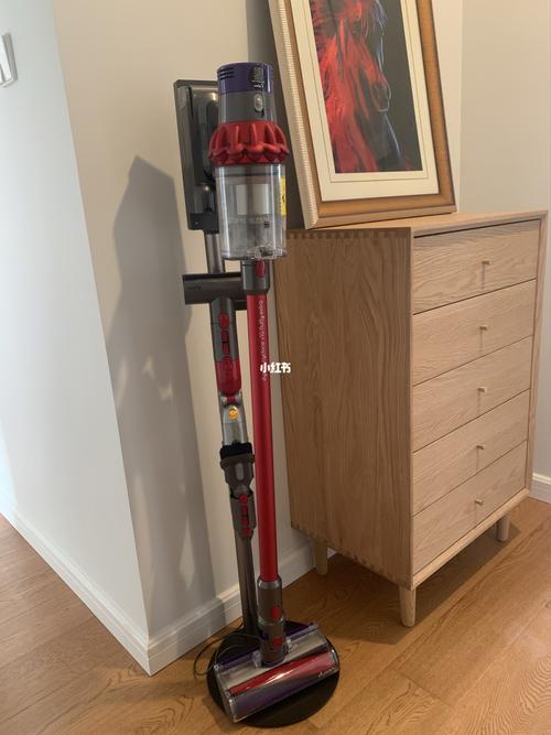 戴森吸尘器安装支架_吸尘器_支架_戴森怎么样_戴森吸尘器_家居家装