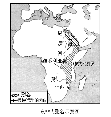 读"东非大裂谷示意图"和下列文字资料,完成下列要求