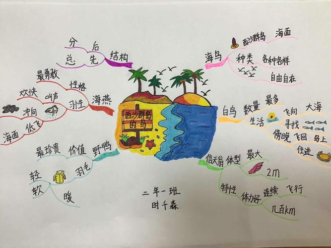《西沙群岛的鸟》思维导图