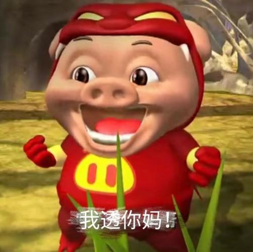 猪猪侠表情包欣赏