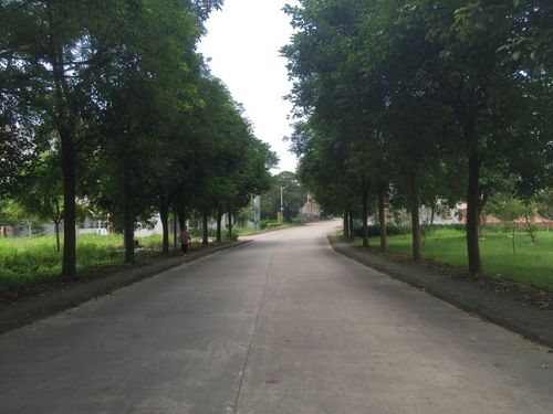 红五月农场现在被定为阳江城市人口疏散基地